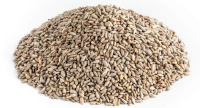 Семена подсолнечника очищенные