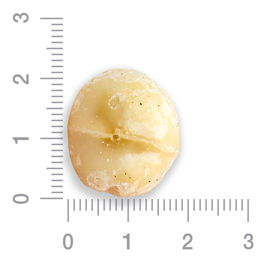 Макадамия очищенная калибр 1