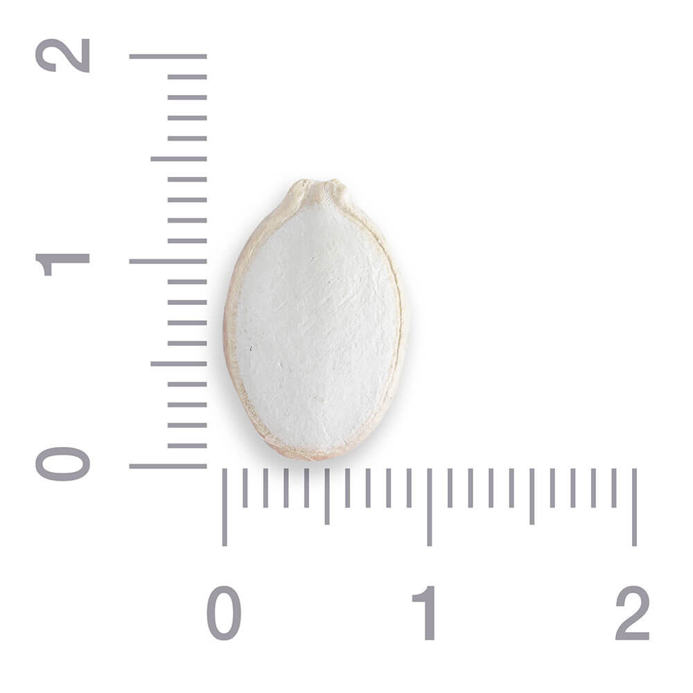 Семена тыквы в скорлупе 13 мм