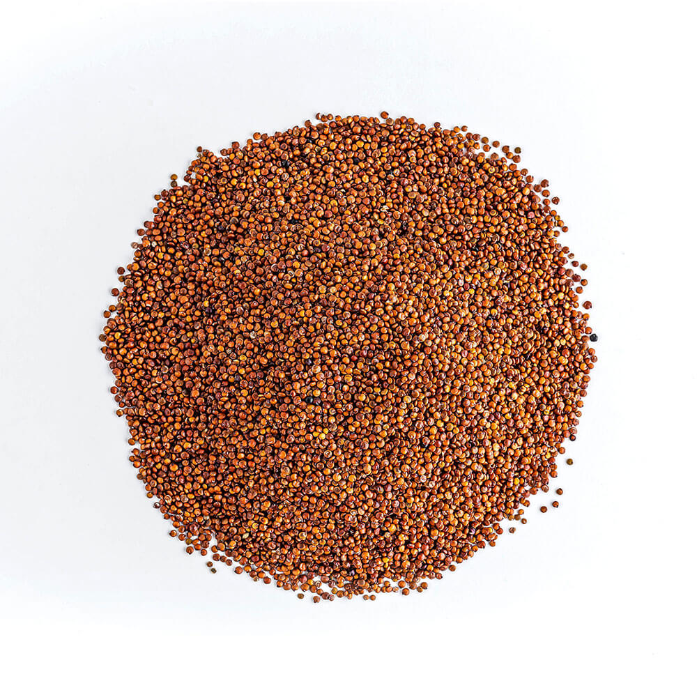 Семена киноа красные