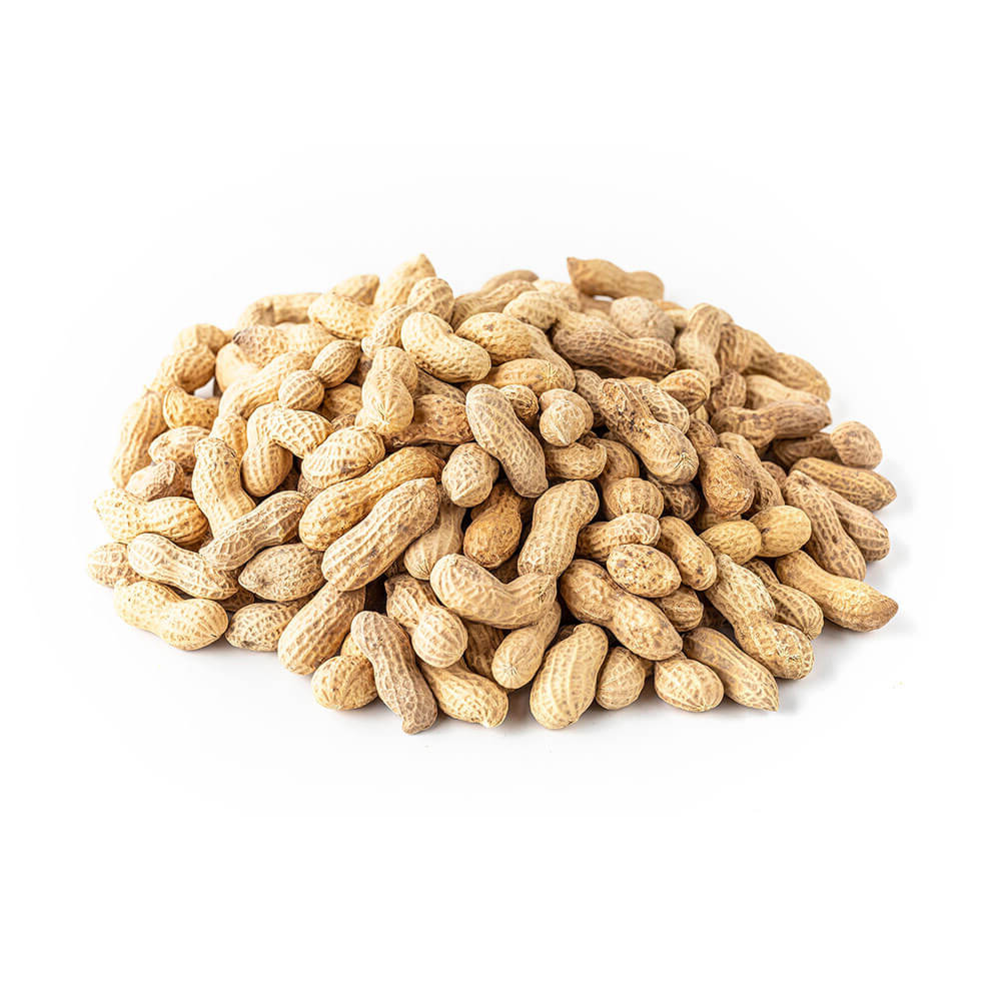 Арахис сушеный в скорлупе 9/11