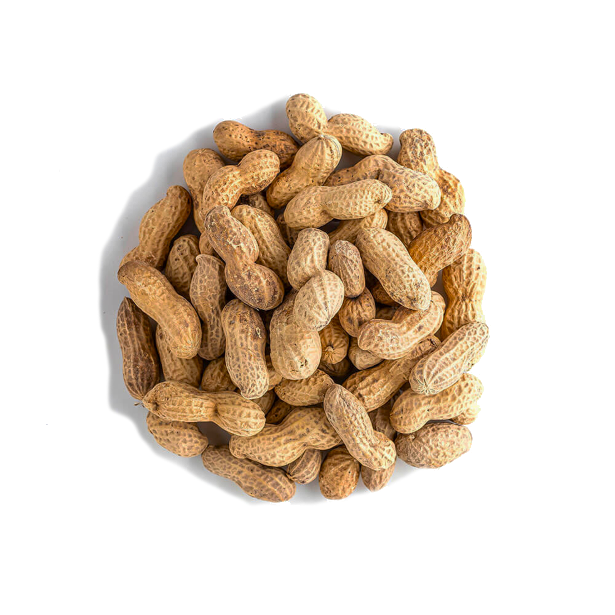 Арахис сушеный в скорлупе 9/11