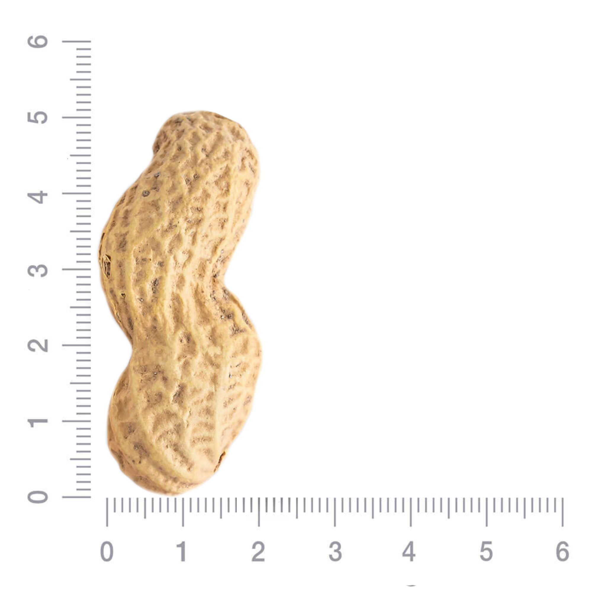 Арахис сушеный в скорлупе 9/11