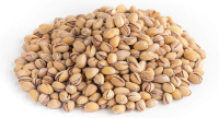 Фисташки жареные соленые 18/22