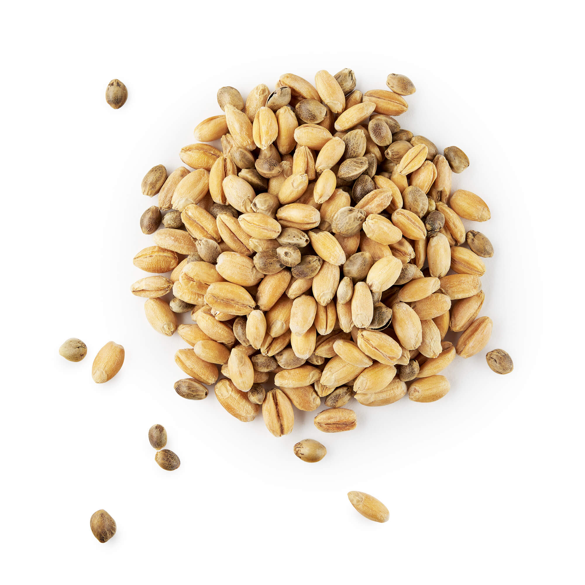 Семена конопли не очищенные