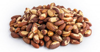 Бразильский орех Миджет