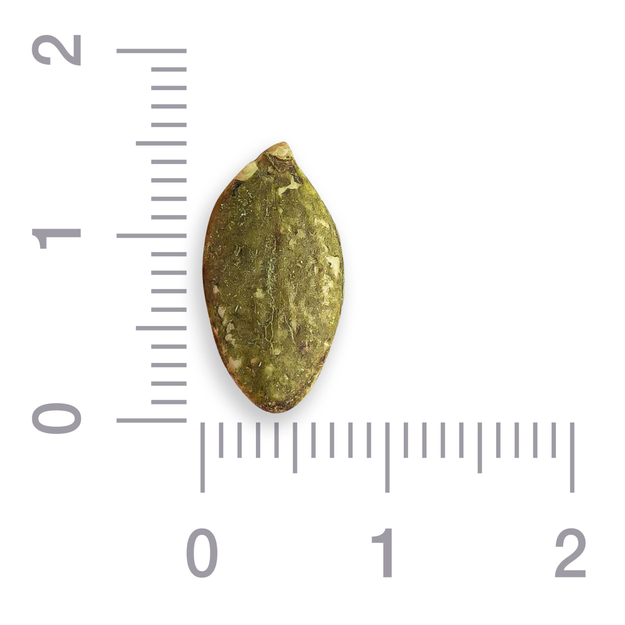 Семена тыквы очищенные жареные соленые